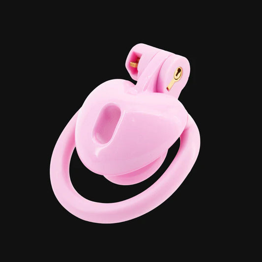 Inverted Chastity Cage with Invisible Lock Sex Toys Cock Cage with 4 Different Sized Rings Sissy Chastity Devices Chasity Cage for Man Penis Bondage Negative Chastity Cage