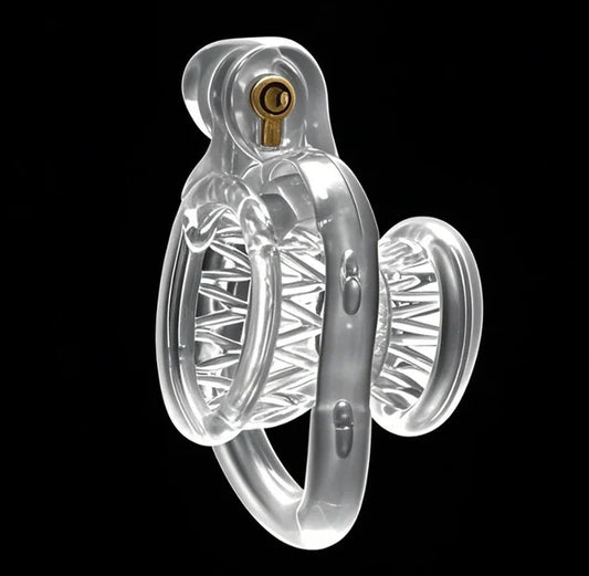 Small waist fish basket chastity lock