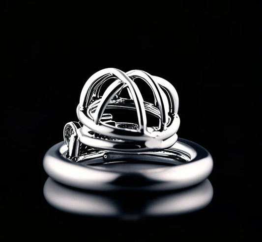 Metal Penis Chastity Lock
